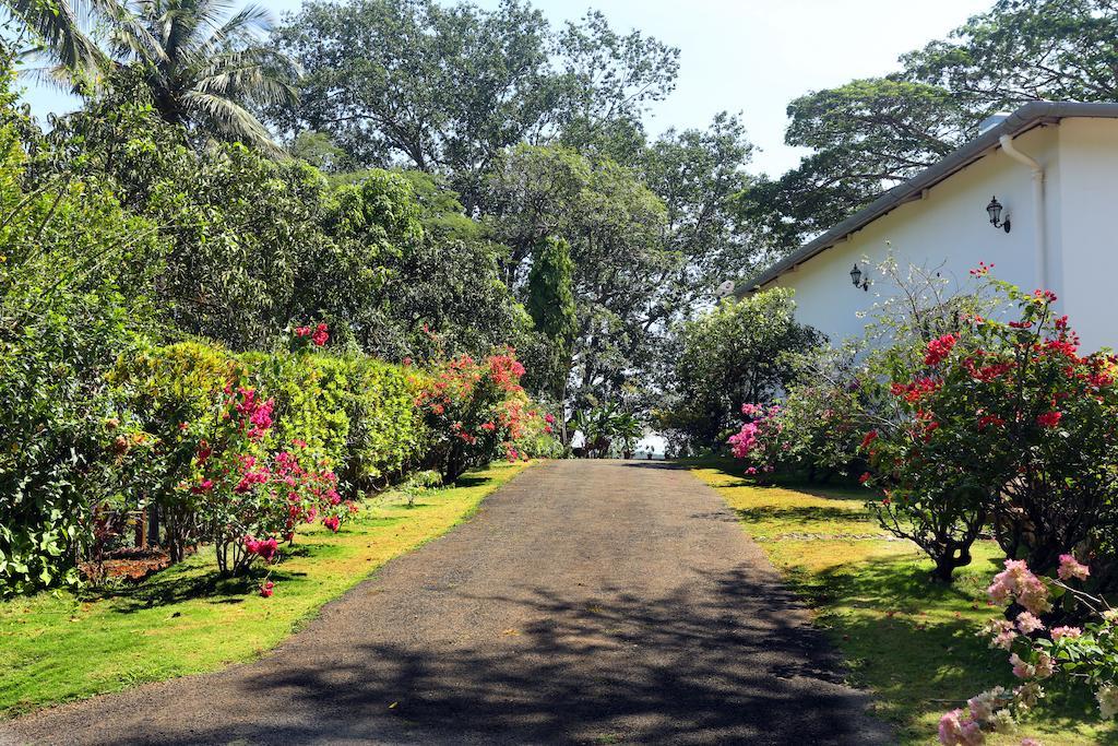 Parisons Plantation Experiences By Abad Mananthavady Exterior foto